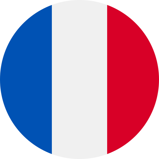 Fran&ccedil;ais